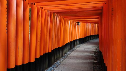 Symbolbild zum Artikel. Der Link öffnet das Bild in einer großen Anzeige.