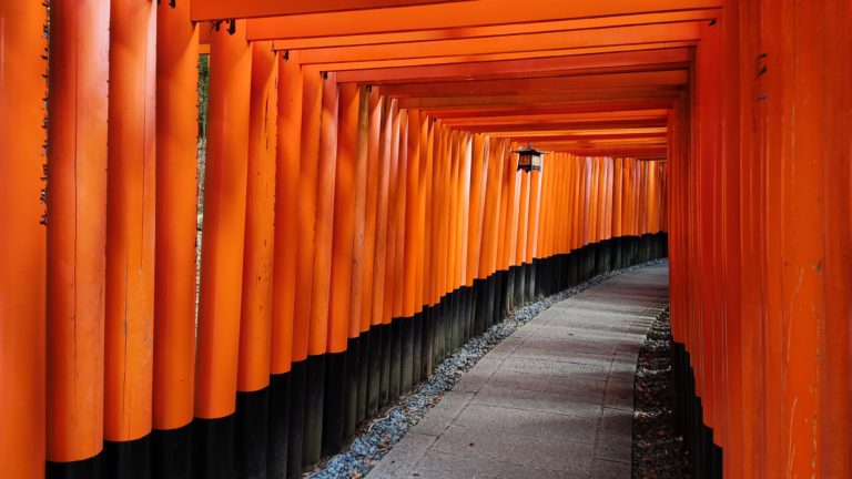 Trip Report – Christian Kupfer